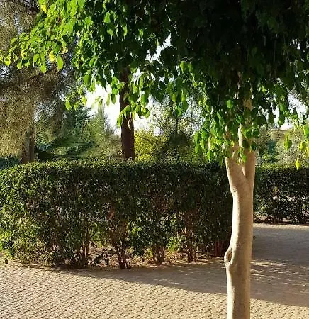 Apartment Garden