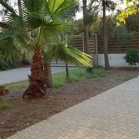 Garden *